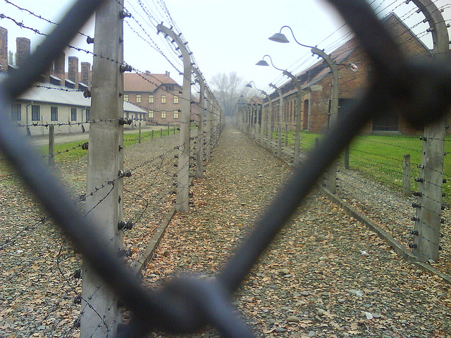 The fence at Auschwitz