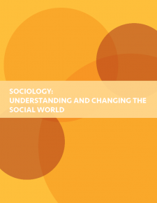Introduction to Sociology: Understanding and Changing the Social World book cover