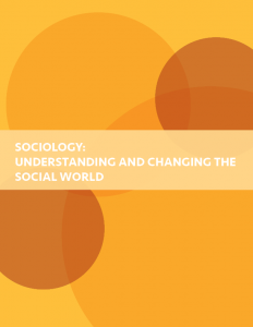 Introduction To Sociology: Understanding And Changing The Social World ...