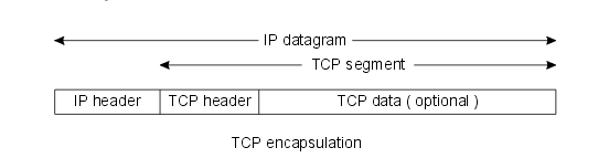 TCP and IP encapulations