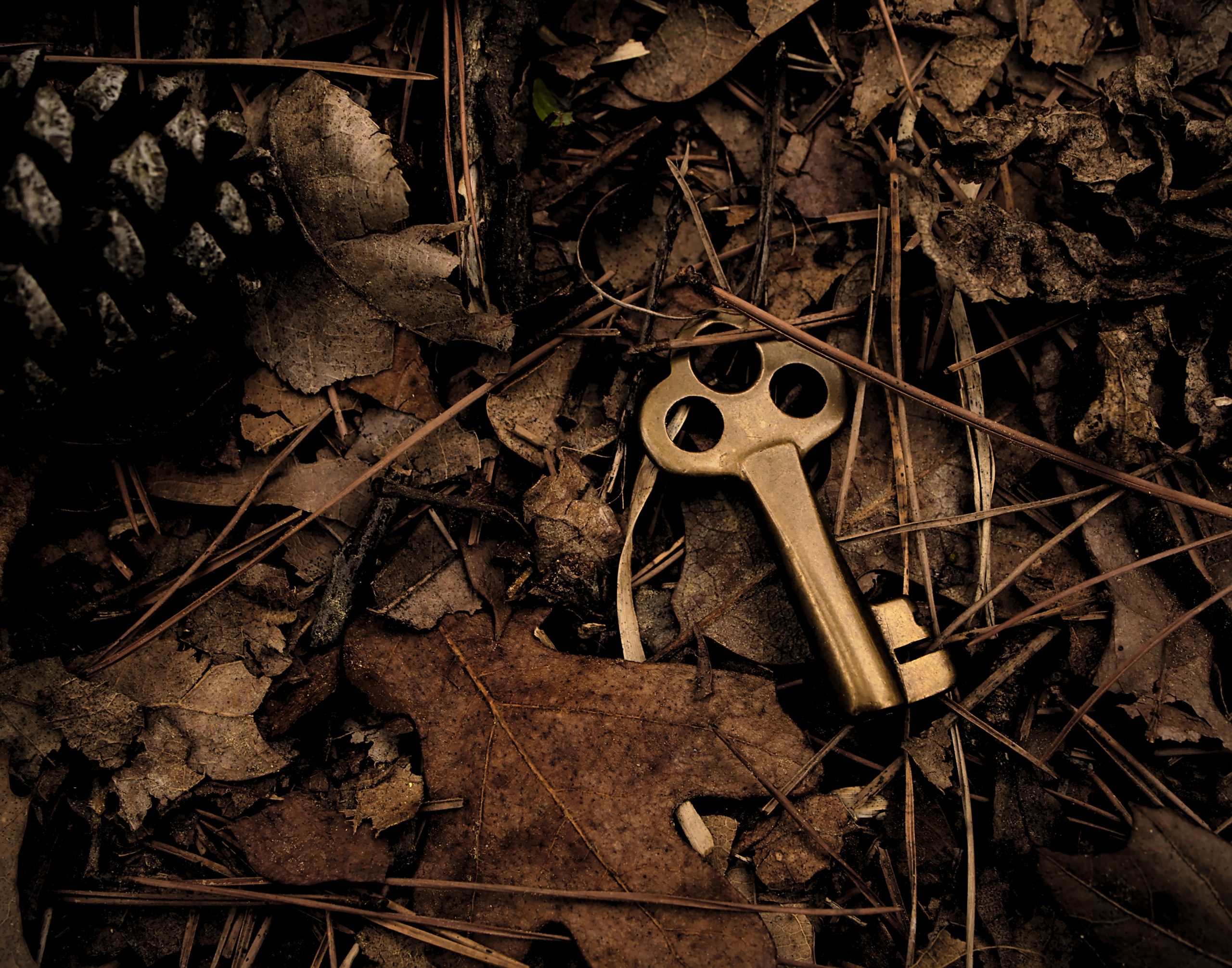 old brass key dropped in leaves in the woods