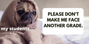 This is an image of a small dog with a sad face wrapped in a blanket. Next to the dog is a voice pop out with the words "please don't make me face another grade."