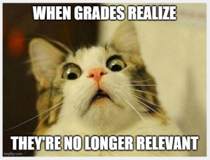 Photo of a scared cat with bulging eyes. Title: When grades realize they're no longer relevant.